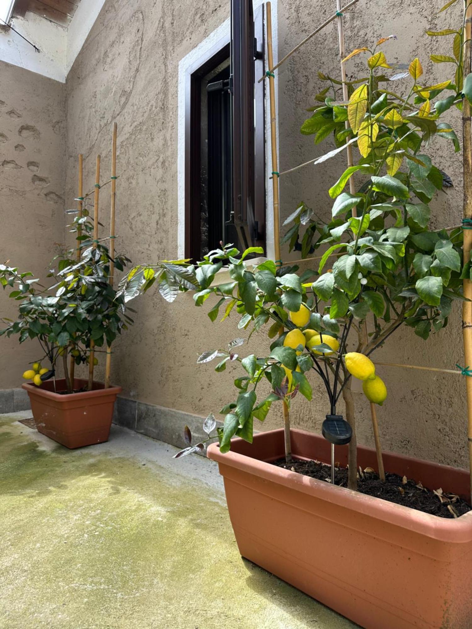 B&B La Corte Puegnago Exterior foto